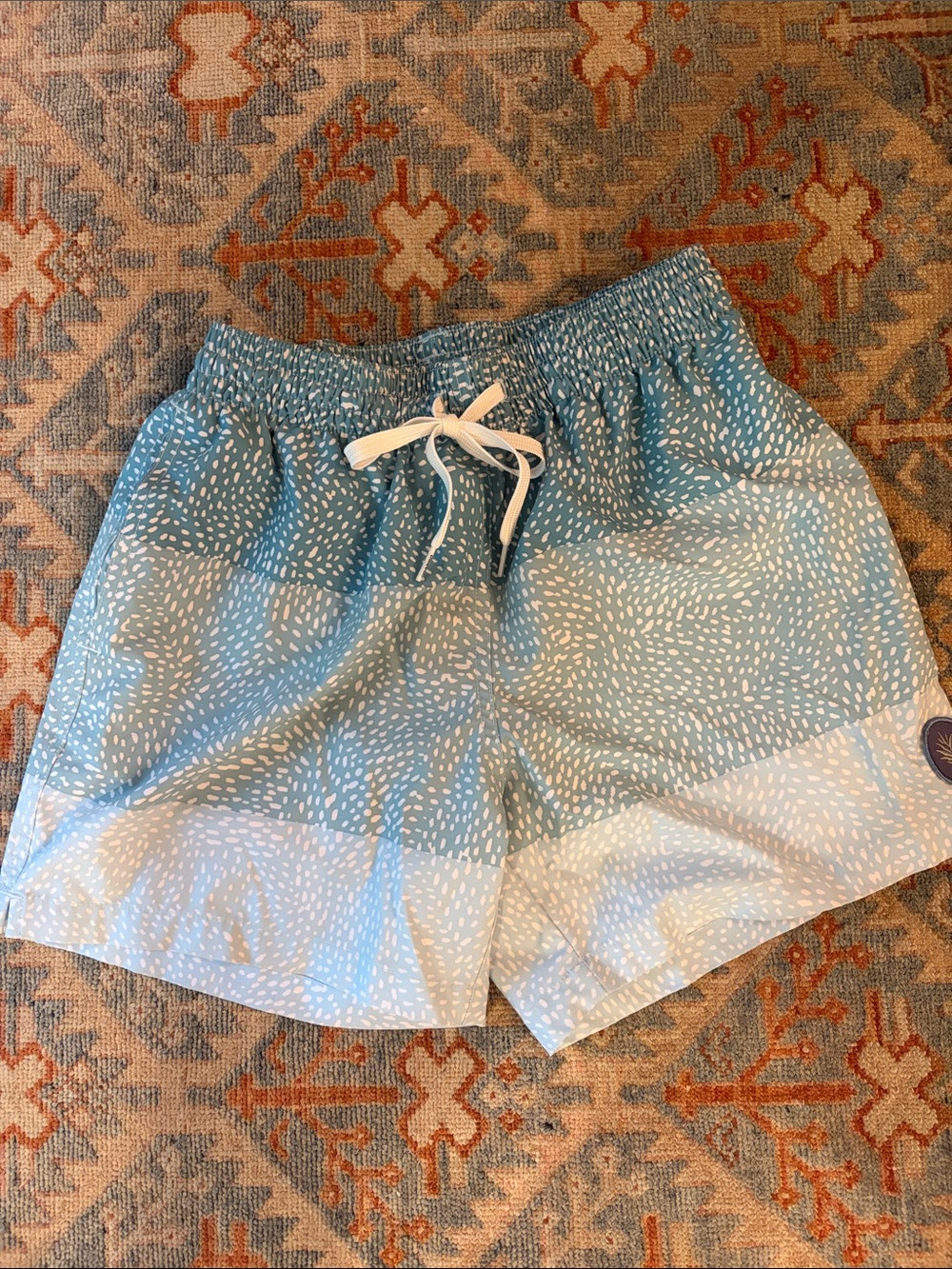 chubbies Light Blue and White Patterned Swim Trunks